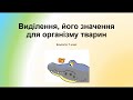 Біологія. Тварини. Виділення та його значення у тварин