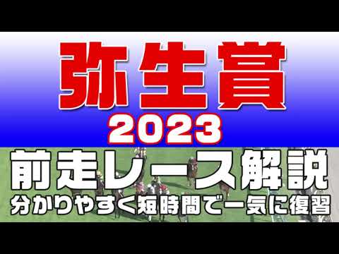 【弥生賞ディープインパクト記念 2023】参考レース解説。弥生賞2023の登録予定馬のこれまでのレースぶりを初心者にも分かりやすい解説で振り返りました。