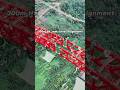 China’s Insane 300m High Bridge: Built with Only One Rope