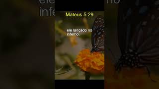 Aprenda Inglês com a Bíblia:  Mateus 5:29  🙏