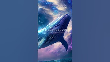 #قرآن #quran #القرآن_الكريم #تلاوة_هادئة #تلاوة_خاشعة.   أكتب شيئ تؤجر عليه 🙏