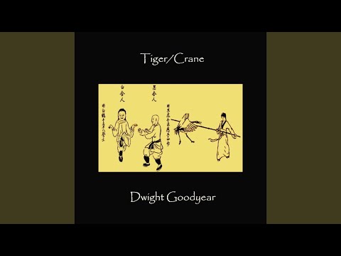 Irritated Tiger Breaks Through The Woods 