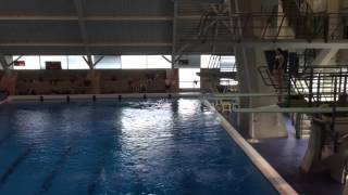 Famous Jo Skinner; 3m Reverse Dive pike Wealth