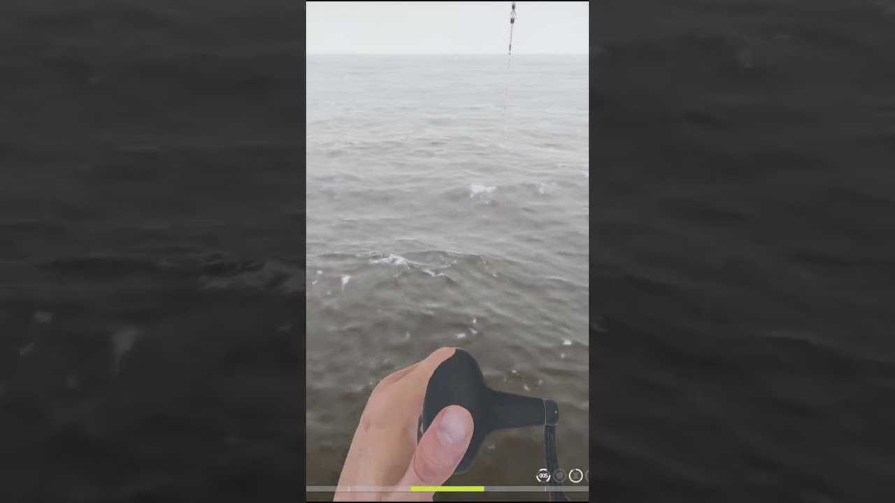 Пикша на Норвежском море