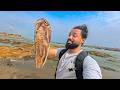 Eating $5 Exotic Squid in Ghana 🇬🇭