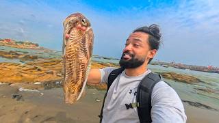 Eating $5 Exotic Squid in Ghana 🇬🇭