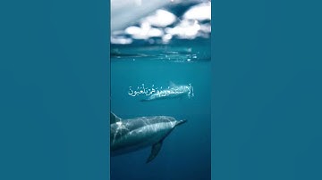 سورة الأنبياء الشيخ خالد الجليل