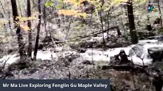 Mr Ma is Live Exploring Gorgeous Fenglin Gu Maple Valley, southern Liaoning Province