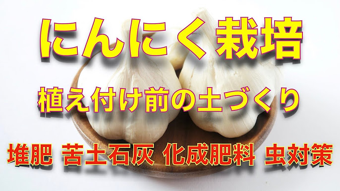 栽培管理