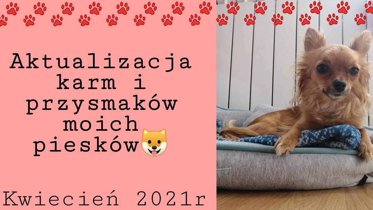 Spiżarnia moich piesków 🐶
