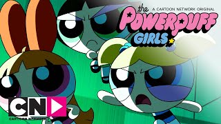 Суперкрошки | История сестры | Cartoon Network