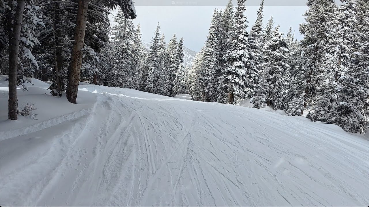 Brighton Scout Trail 