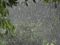 Som de Chuva e Trovoadas  - Para Dormir e Relaxar