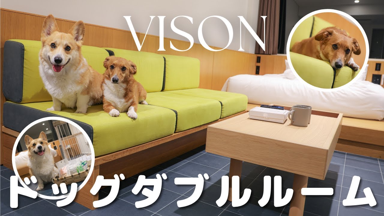 【VISON HOTEL】2024年12月リニューアル！ドッグダブルルームが快適すぎました