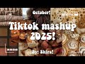 TikTok Mashup 2025