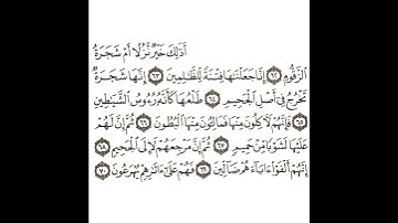 سورة الصافات 10 القسم العاشر تكرار كيفي من .. أذلك خير نزلا أم شجرة الزقوم .. إلى .. يهرعون