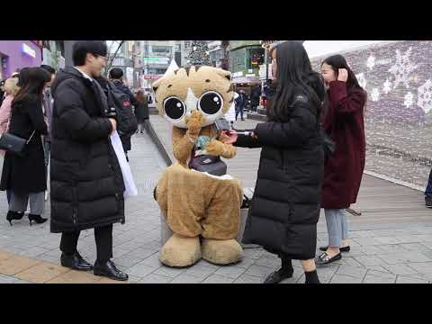 JHKTV] 신촌 명물고양이예쁘게 나와요  shin chon special <strong>cat</strong> <strong>Come</strong> out pretty