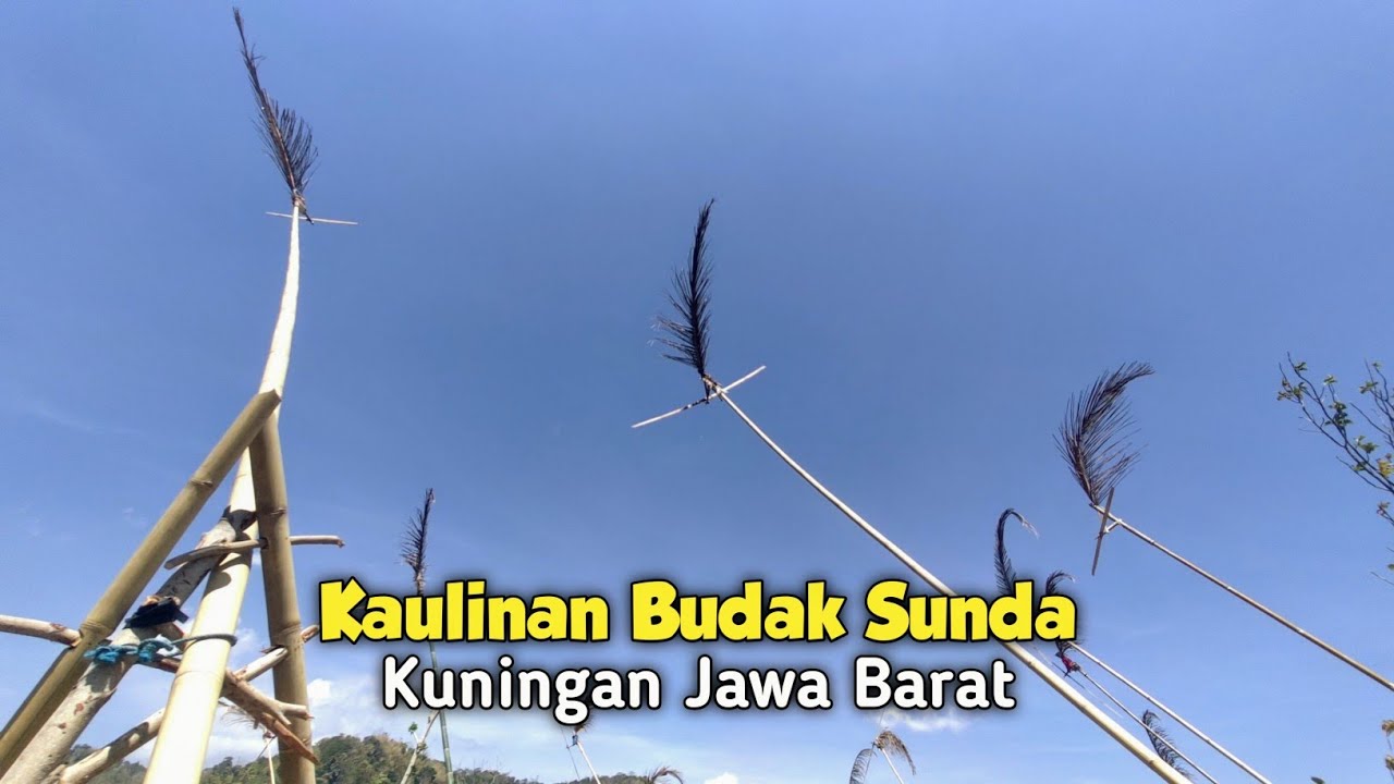 Inilah Kolecer Dari Kuningan Jawa Barat Banyak dicari Pecinta Kolecer