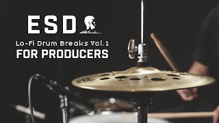 REAL DRUM BREAKS FOR PRODUCERS | ESD Lo-Fi Drum Breaks Vol.1 REAL DRUM BREAKS FOR PRODUCERS | ESD Lo-Fi Drum Breaks Vol.1