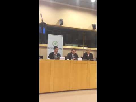 Presentation of the reports in the European Parliament in Brussels - part 3