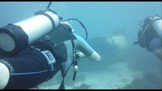 Dji Osmo Pocket Underwater Case  Scuba Diving