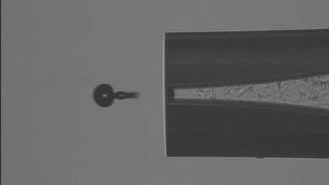 Microarrayer Drop Formation