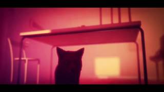 Dissolve - WENNINK