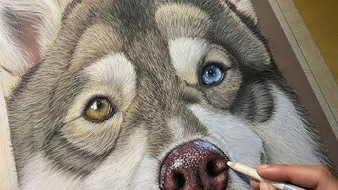 How to Draw a Realistic Dog Nose with Pastel Pencils