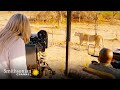 Hunting Strategies and Challenges