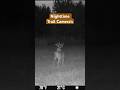 SPYPOINT Flex Trail Camera at Night. #trailcam #trailcamera #spypoint #hunting #deerhunting