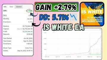 IS White EA Review | MT4 Hybrid Scalping & Trend Capture Forex Robot (Gold Trading)