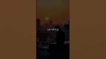 وس يق الذ ين ات ق وا ر ب ه م إلى الجن ة ز م را 