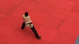 108年國武術全國聯賽 國小男子南拳 楊又瑜 1080427