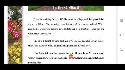 STD 4 / EVS / CHP-11 /IN THE ORCHARD /PART-1 /THE SOUTH INTERNATIONAL SCHOOL