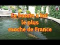 Le bassin a koi le plus moche de france