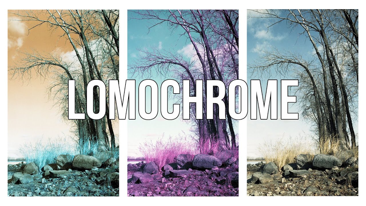 Film Comparison - Lomochrome TURQUOISE vs. PURPLE vs. METROPOLIS