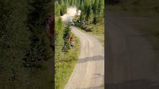 WRC Finland 2018 Tree video screenshot 2