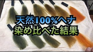 天然100%ヘナを毛束で染め比べしてみた！美容室で実験、美容院、美容師、集客、マーケティング、美容ディーラー