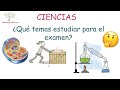 CIENCIAS, ¿qué temas estudiar para el examen?