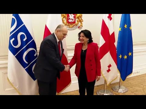 \"აქ ვარ იმისათვის, რომ საქართველოს სუვერენიტეტსა და დამოუკიდებლობას მხარდაჭერა გამოვუცხადო\"