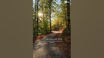 #القرآن_الكريم القارئ #ياسر_الدوسري 