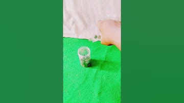 reverse video #reverse #reversvideos #shorts #viral #youtubeshorts