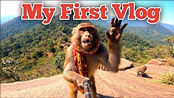 Rocky बंदर का पहला Youtube vlog 😮😅 | My First Vlog on YouTube | Monkey ai vlog | Google Veo 3 | Ep 1