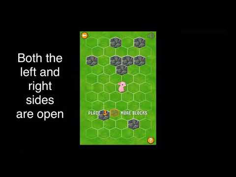 What is the Standard Opening? Block the Pig Tutorial #1