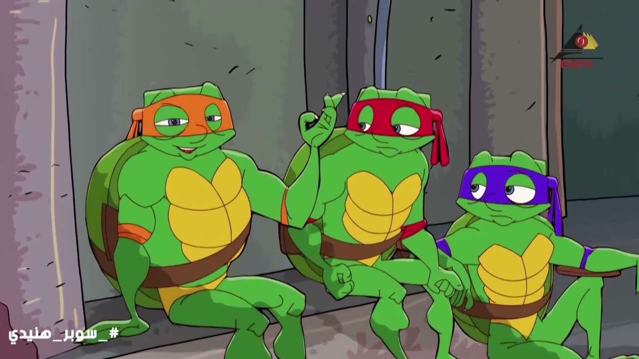 معقولة كل ده حصل لسلاحف النينجا في مصر