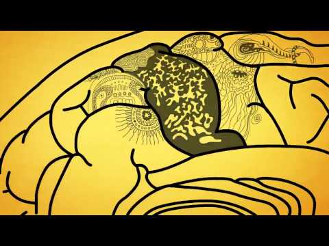 Videó: Mi Az A Korai Onset Alzheimer-kór?