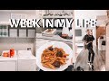 WEEK IN MY LIFE LIVING IN LAS VEGAS (CLEANING, COOKING, WORKING OUT)
