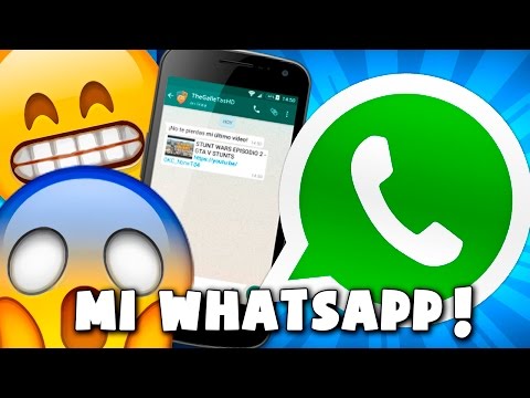 OS DOY MI WHATSAPP!