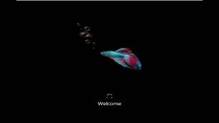 Windows 8 Build 8056 on VMware Workstation