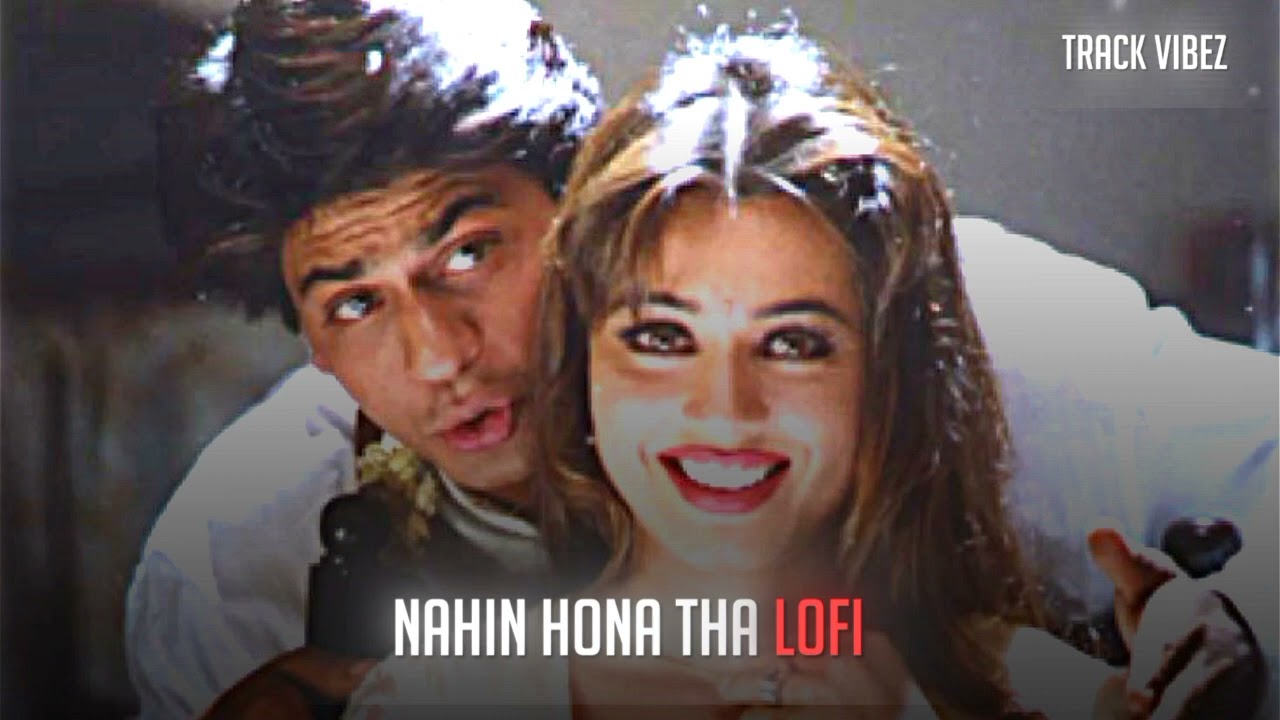 Nahin Hona Tha Lofi  Pardes  90s Songs Lofi